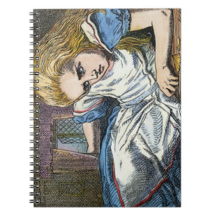 ALICE IN WONDERLAND NOTEBOOK