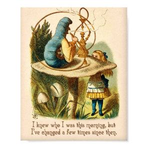 Alice in Wonderland Quote -I Knew Who I Was - Cate Poster