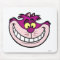 Alice in Wonderland's Cheshire Cat Disney