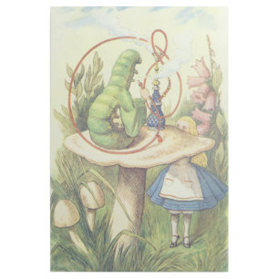 Alice Meets the Caterpillar Gallery Wrap