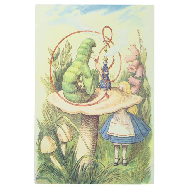 Alice Meets the Caterpillar Metal Print (Front)