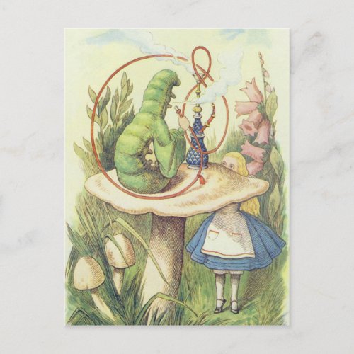 Alice Meets the Caterpillar Postcard
