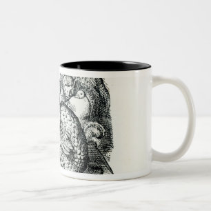 Alice meets the Dodo Two-Tone Coffee Mug
