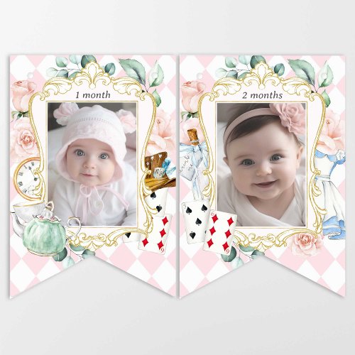 Alice Onederland 1st birthday monthly photo Bunting Flags