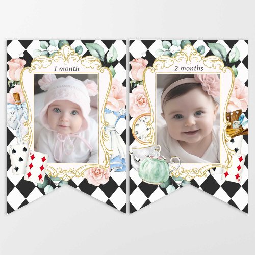 Alice Onederland Girl 1st birthday montly photo Bunting Flags