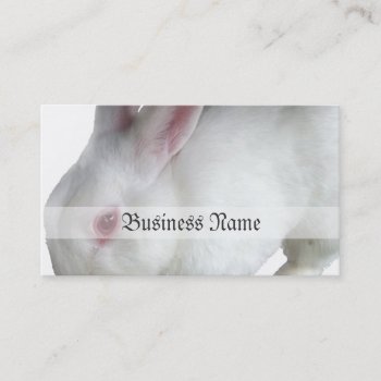 Alice's Rabbit Business Card by fotoplus at Zazzle