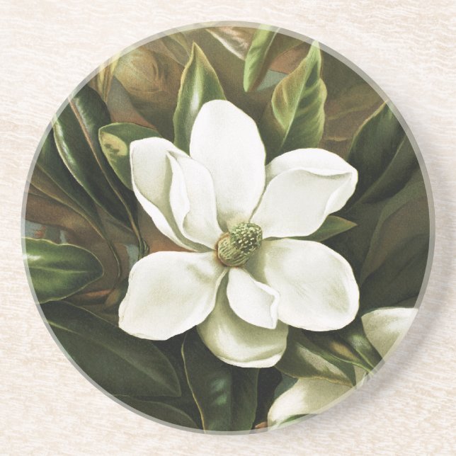 Alicia H. Laird: Magnolia Grandflora Drink Coaster (Front)