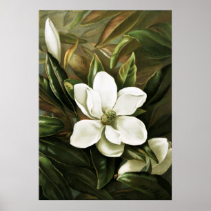 Alicia H. Laird: Magnolia Grandflora Poster