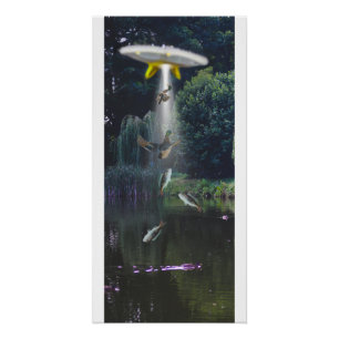 Alien abduction poster, fish, ducks. poster