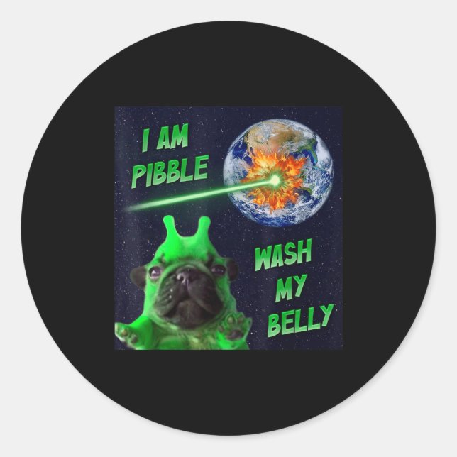 Alien Bble Funny Brainrot Dog Meme Space I Am Bble Classic Round Sticker (Front)