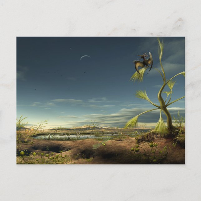 Alien Biotope Postcard (Front)