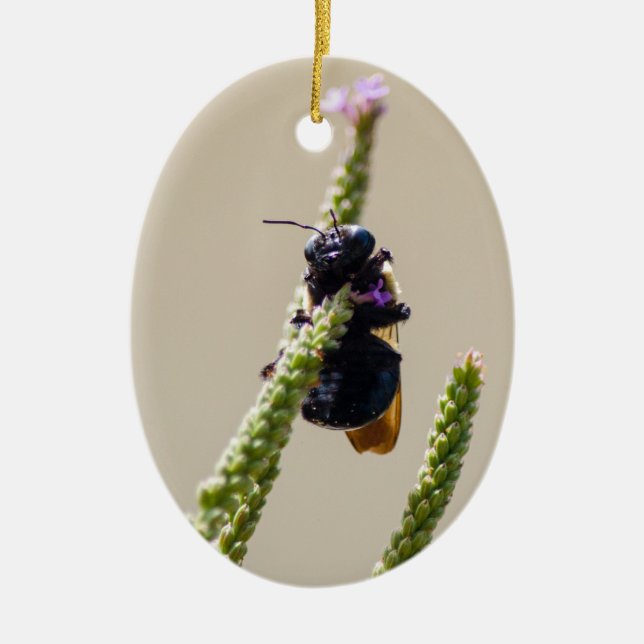 Alien Circus Bee Ceramic Ornament (Front)