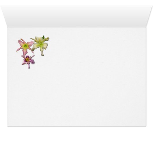 Alien Encounters Cards (Inside Horizontal (Bottom))