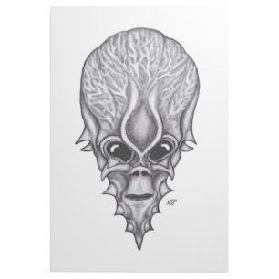 Alien Face , African Skull Facial Reconstruction Gallery Wrap