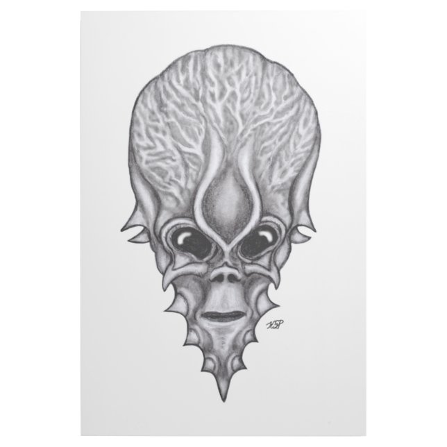 Alien Face , African Skull Facial Reconstruction Gallery Wrap (Front)