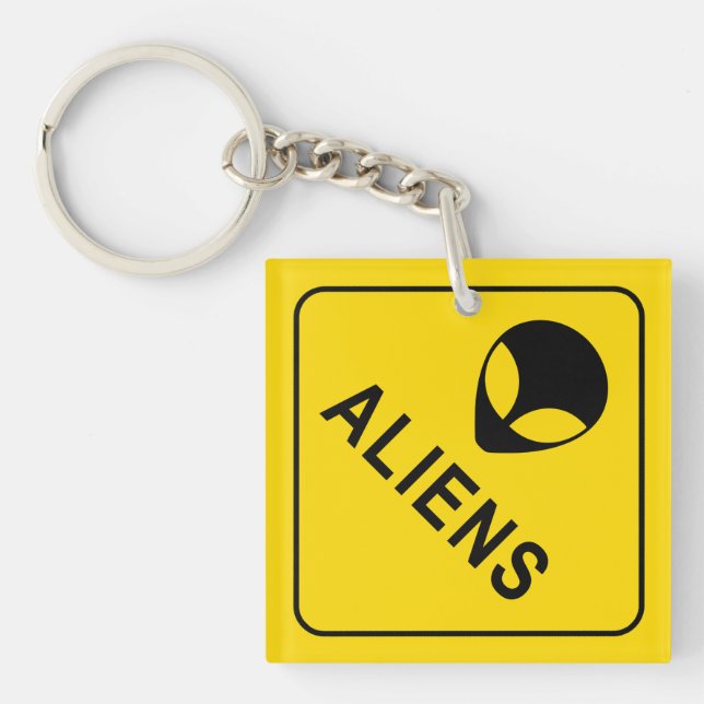 Alien Head, Alien Invasion Warning Sign Keychain (Front)