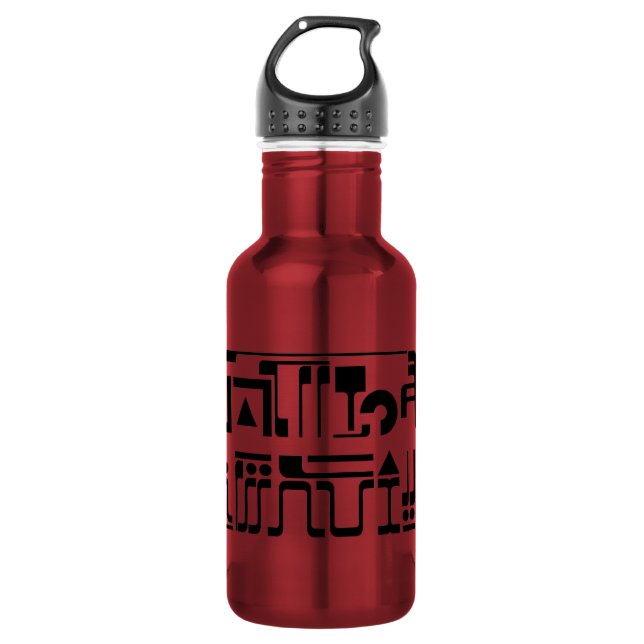 Alien Hieroglyphs Water Bottle (Front)
