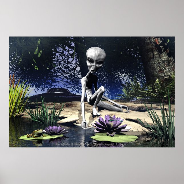 Alien in Nature By Michelle Wilder Poster (Front)