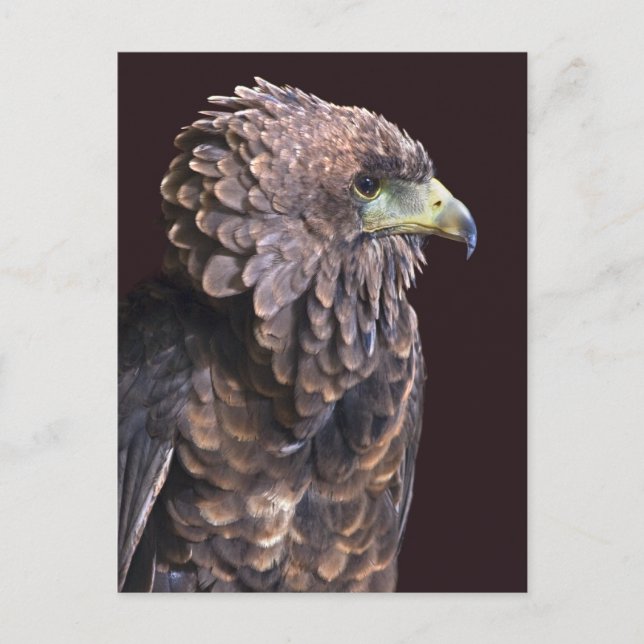 Alien Queen Postcard (Front)