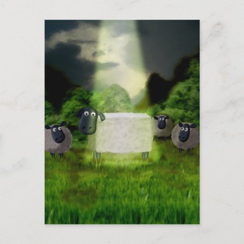 Alien Sheep Experiment Postcard