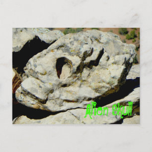 Alien Skull In Nation Postcard