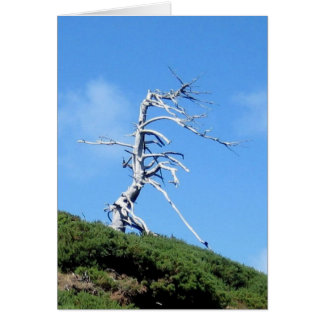 alien tree cards
