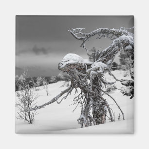 Alien tree magnet