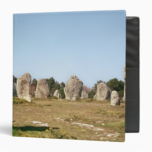 Alignment of standing stones, Megalithic Binder (Front/Inside)