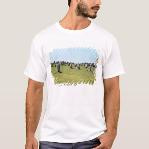 Alignment of standing stones, Megalithic T-Shirt