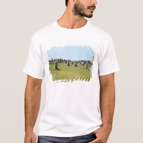 Alignment of standing stones Megalithic T_Shirt