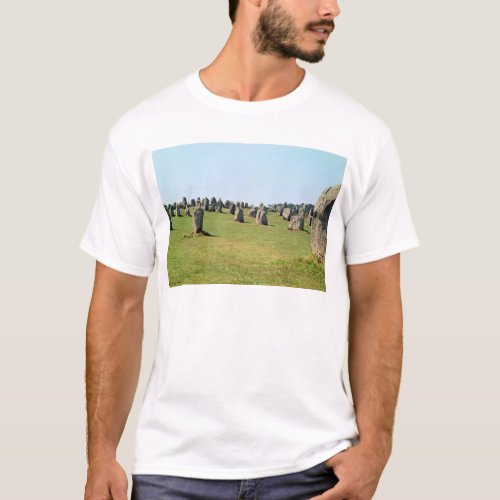 Alignment of standing stones Megalithic T_Shirt