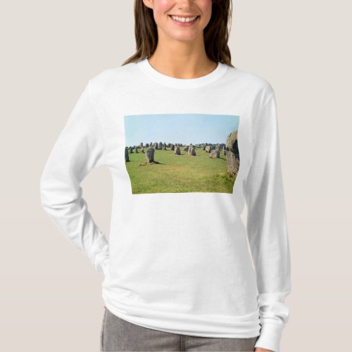 Alignment of standing stones Megalithic T_Shirt