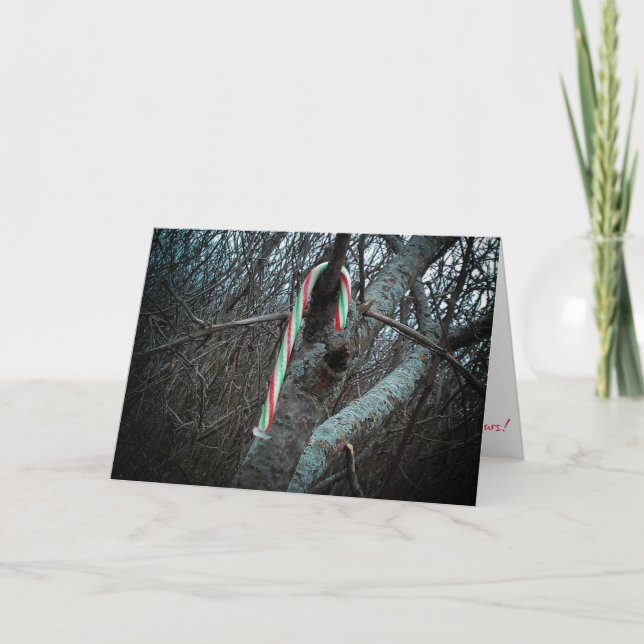 "Alimagnet Candy Cane" Christmas Card (Front)