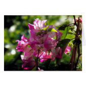 Alive 2 (Front Horizontal)