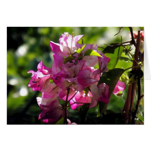 Alive 2 (Front Horizontal)