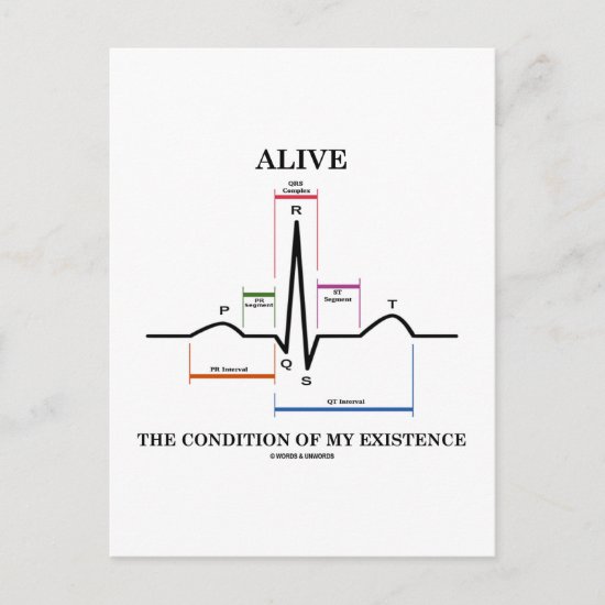 Alive The Condition Of My Existence (ECG/EKG) Postcard