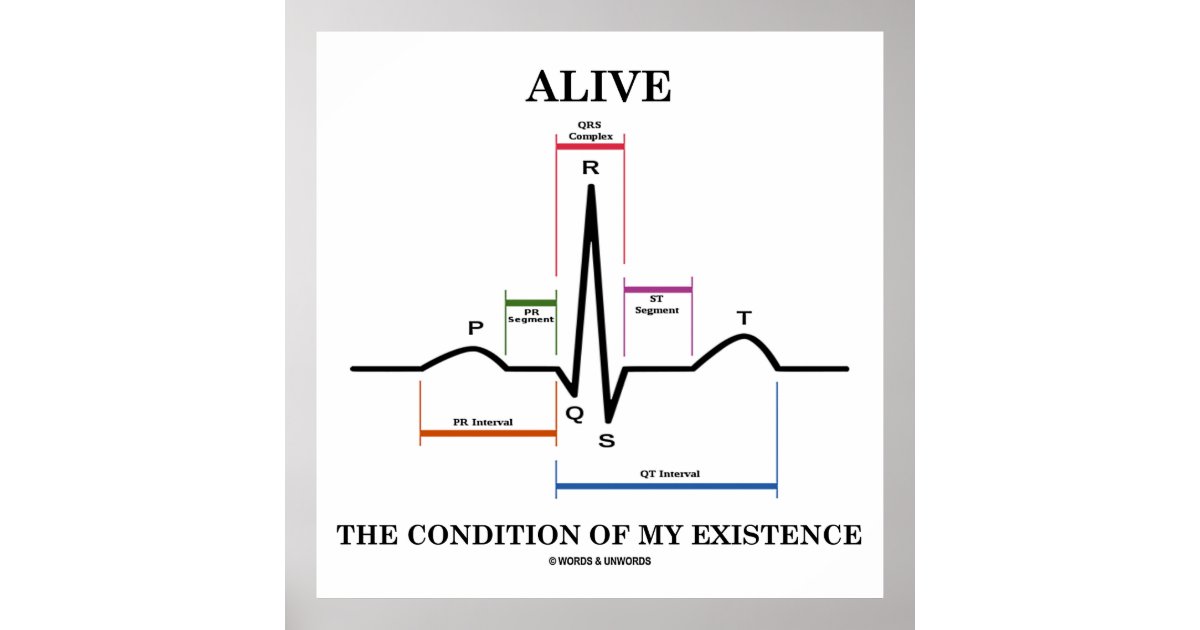 drag strejke øverst Alive The Condition Of My Existence (ECG/EKG) Poster | Zazzle