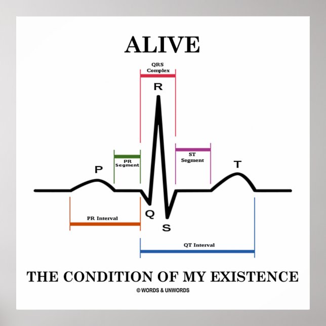 Alive The Condition Of My Existence (ECG/EKG) Poster (Front)