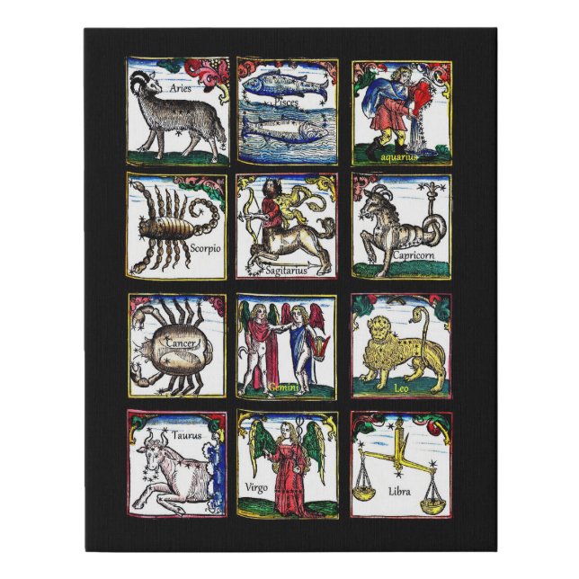 all 12 Zodiac Signs Birthday astrology symbols (Front)