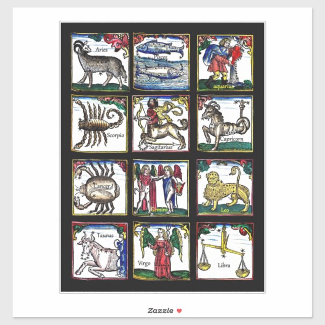 all 12 Zodiac Signs Birthday astrology symbols Sticker (Sheet)
