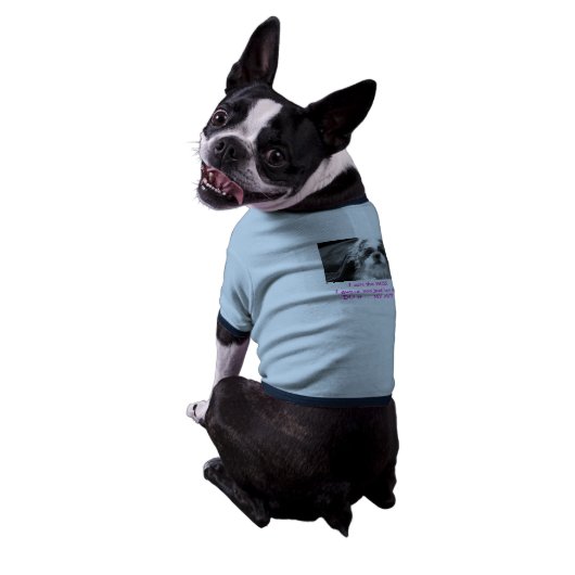 all about Cutesie T-Shirt (Back)