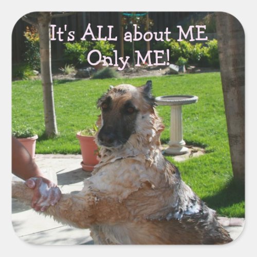 All About Me German Shepherd Stickers