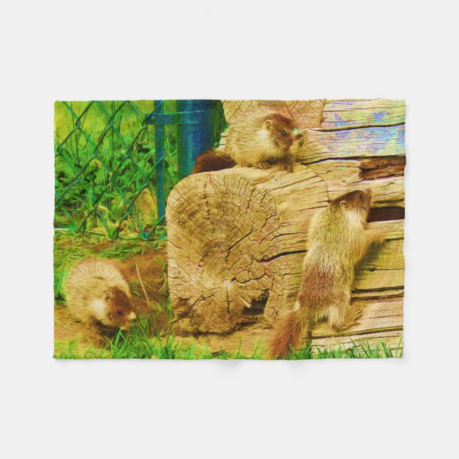 All About The Marmots - Baby Yellow-bellied Marmot Fleece Blanket (Front (Horizontal))