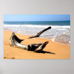 All adrift in Bentota Poster