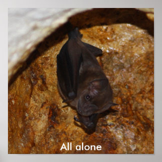 All alone poster