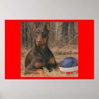 All American Ball Player Poster