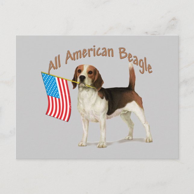 All American Beagle gifts Postcard (Front)