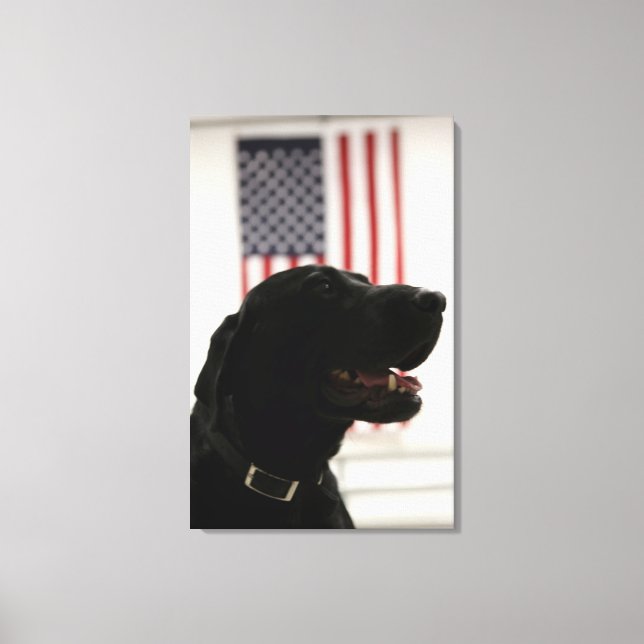 All-American Black Labrador Retriever Canvas Print (Front)