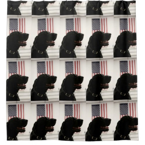 All_American Black Labrador Retriever Shower Curtain