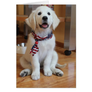 All American Puppy, the cutest Patriot Cards
